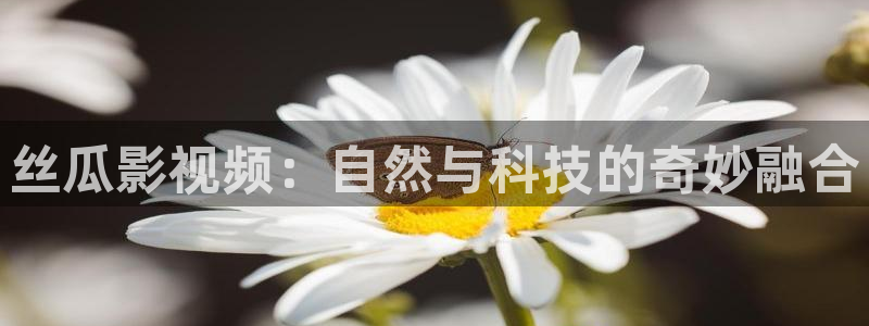 九九热免费视频观看：丝瓜影视频：自然与科技的奇妙融合