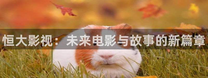 九九电影院免费播放电视剧大全：恒大影视：未来电影与故事的新篇章