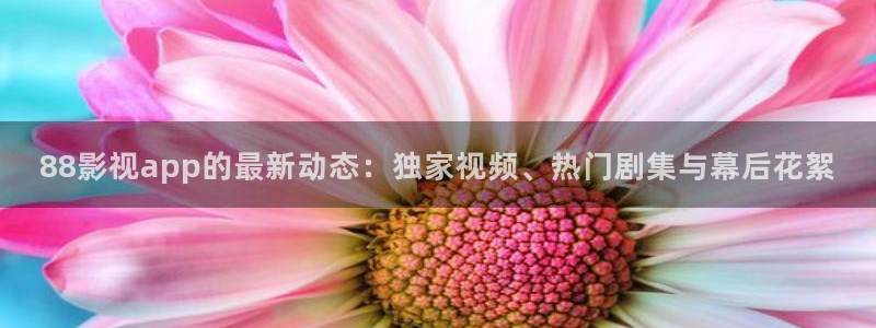 九九热这里面只有精品视频