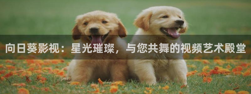 九九电影院久久电影网：向日葵影视：星光璀璨，与您共舞的视频艺术殿堂